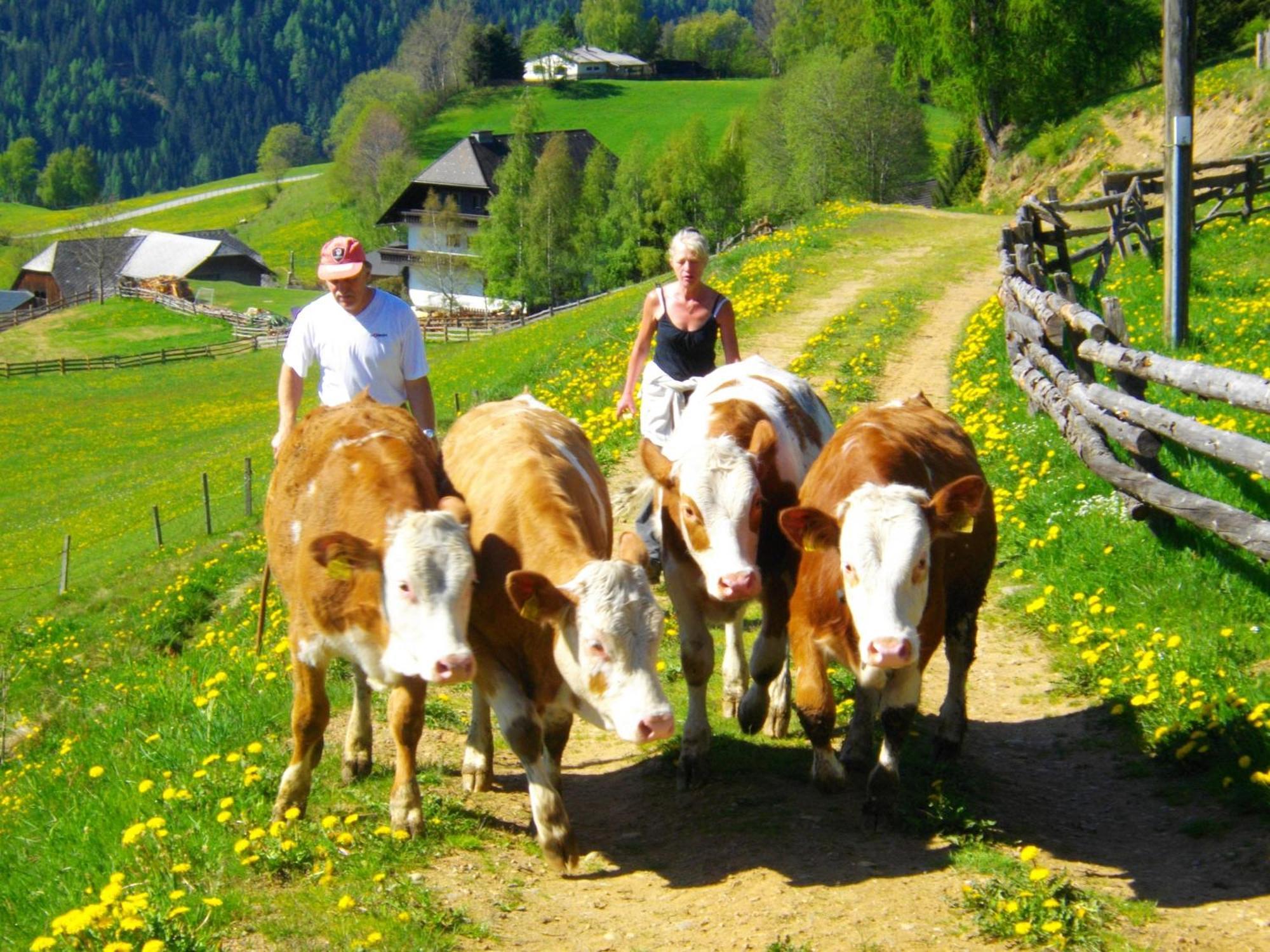 Gaestehaus Bischof Schöder エクステリア 写真